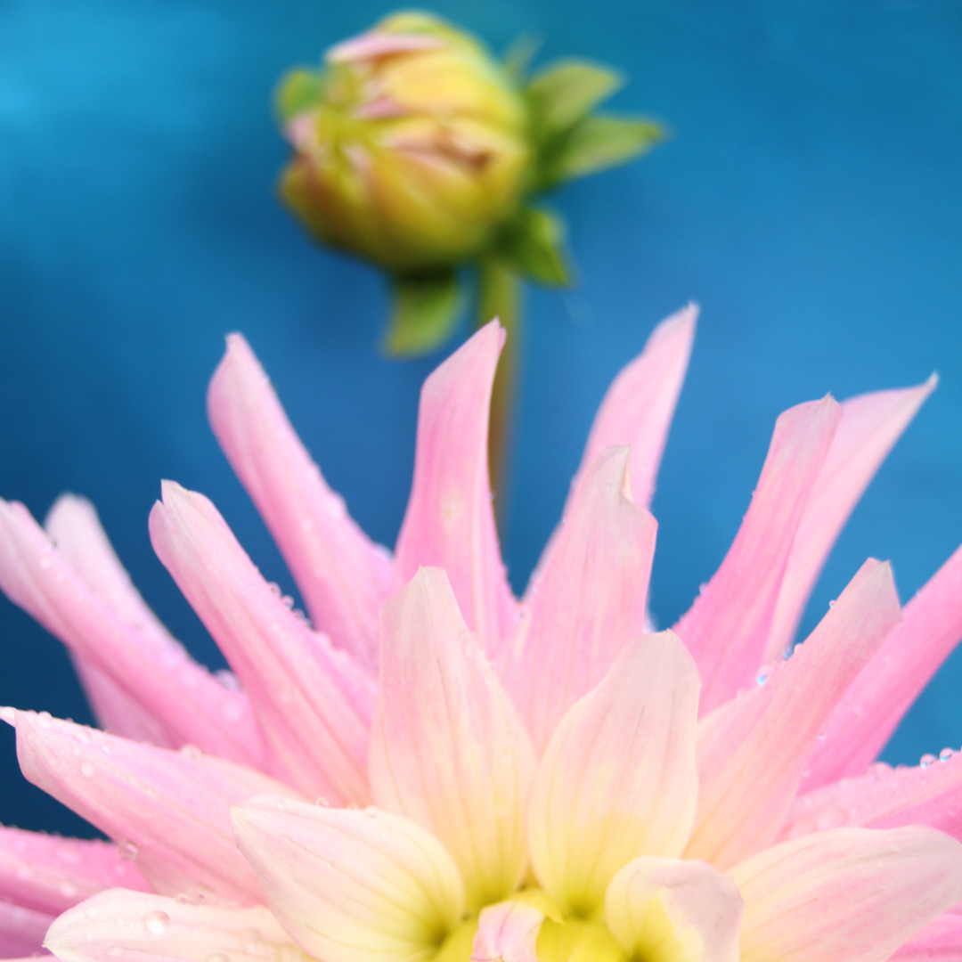 Be_Present